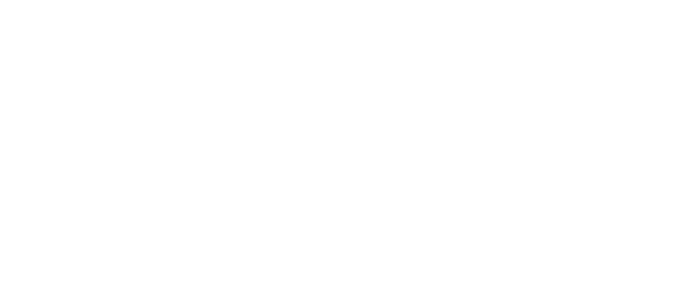 Zevon Energy. Revenue for Renewables